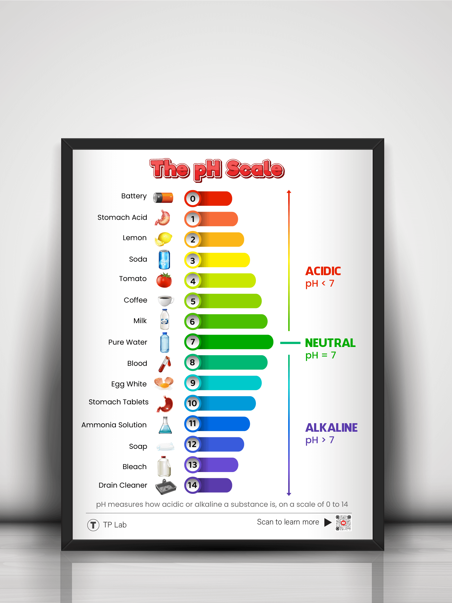 The pH Scale – Colorful and Informative Poster product image (6)