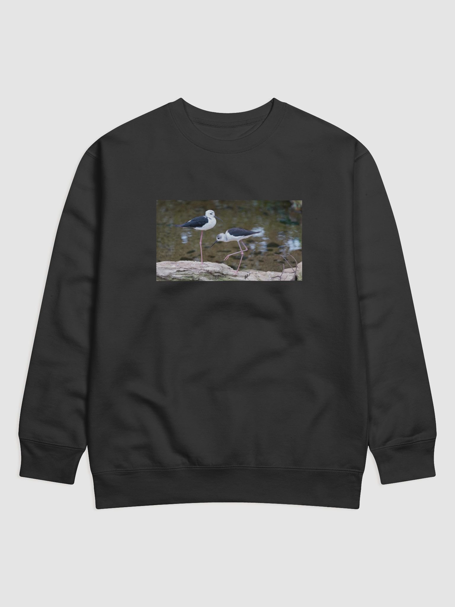 Monochrome Avian Elegance Sweatshirt product image (1)