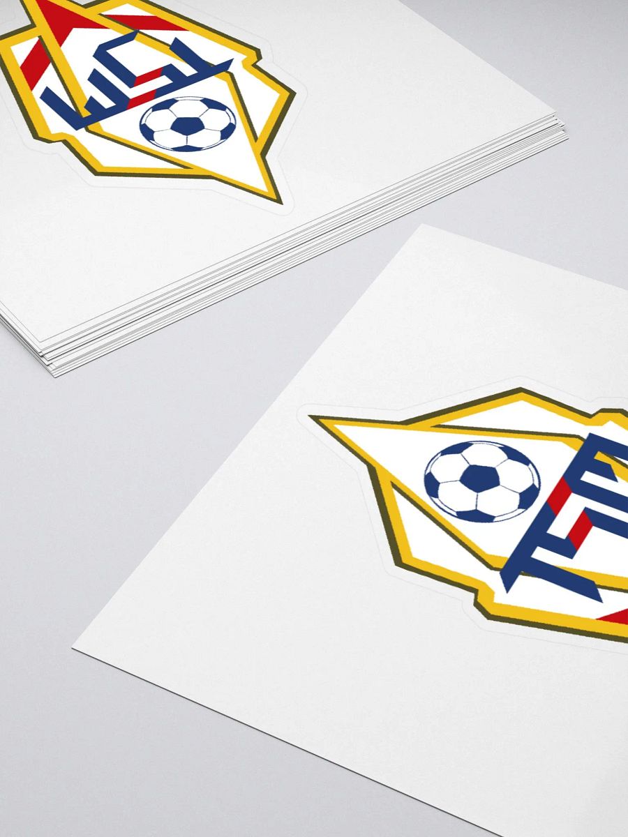 TSM Logo Sticker product image (4)