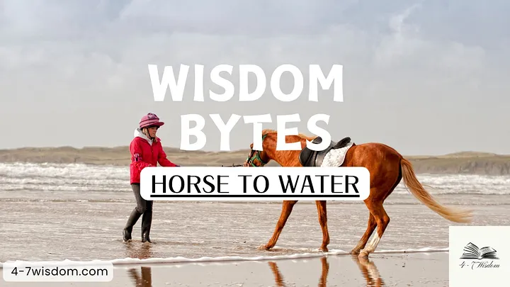 Wisdom Bytes: Horse to Water product image (1)