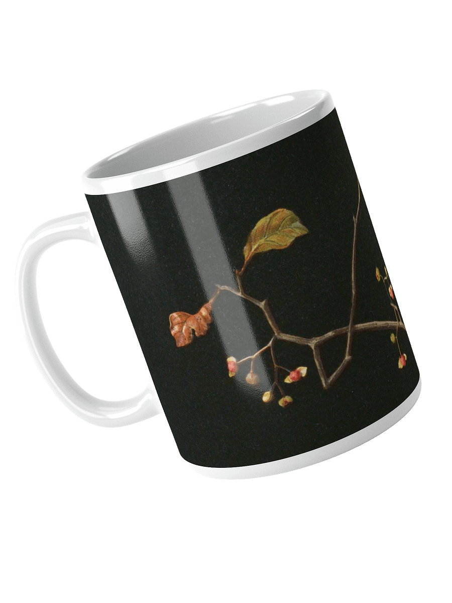 Still Life. 11oz. Mug product image (3)