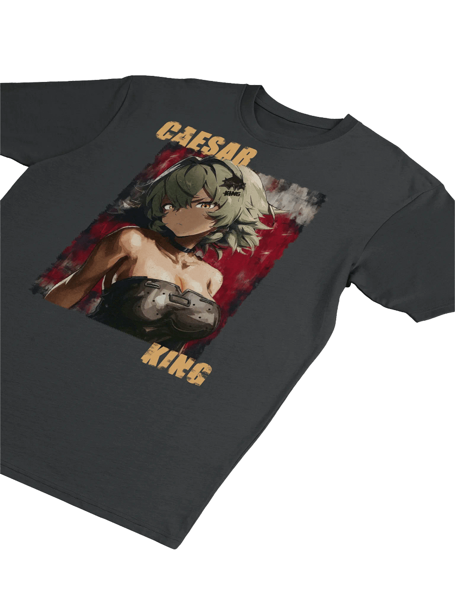HAIL TO THE KING! Caesar King Cotton Premium Heavyweight Tee product image (24)