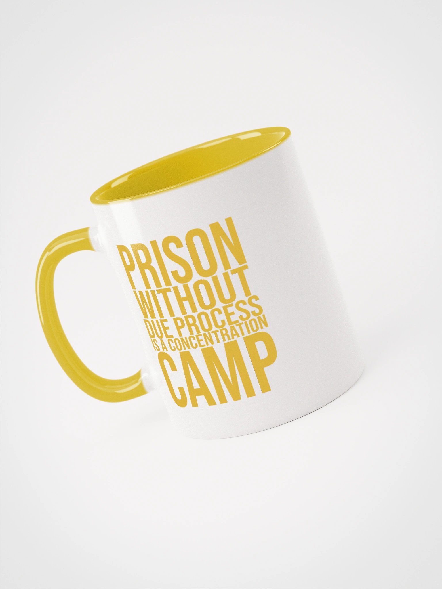 Due Process Concentration Camp Mug- Being Liberal product image (3)
