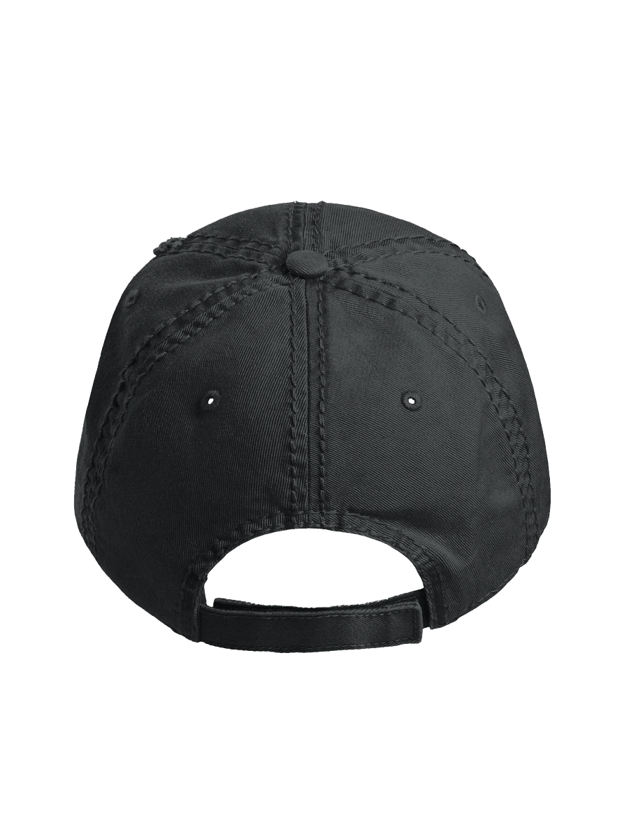 Distressed Dad Hat product image (5)