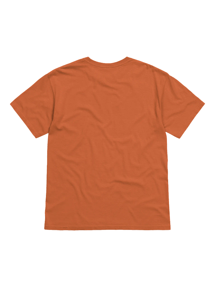 BORN TO SHINE Basketball Tee product image (14)