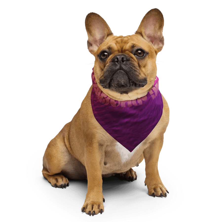 Ripple of Rebirth Bandana (Sublimation) product image (4)