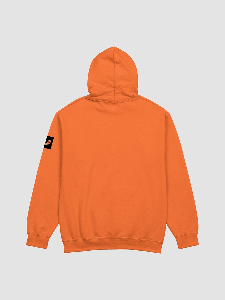 International Movement Hoodie - Orange product image (2)