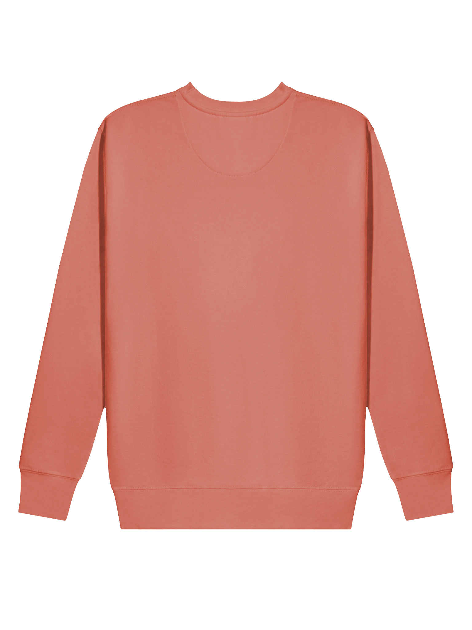 Anyway... Sweatshirt (Blue solid) product image (17)