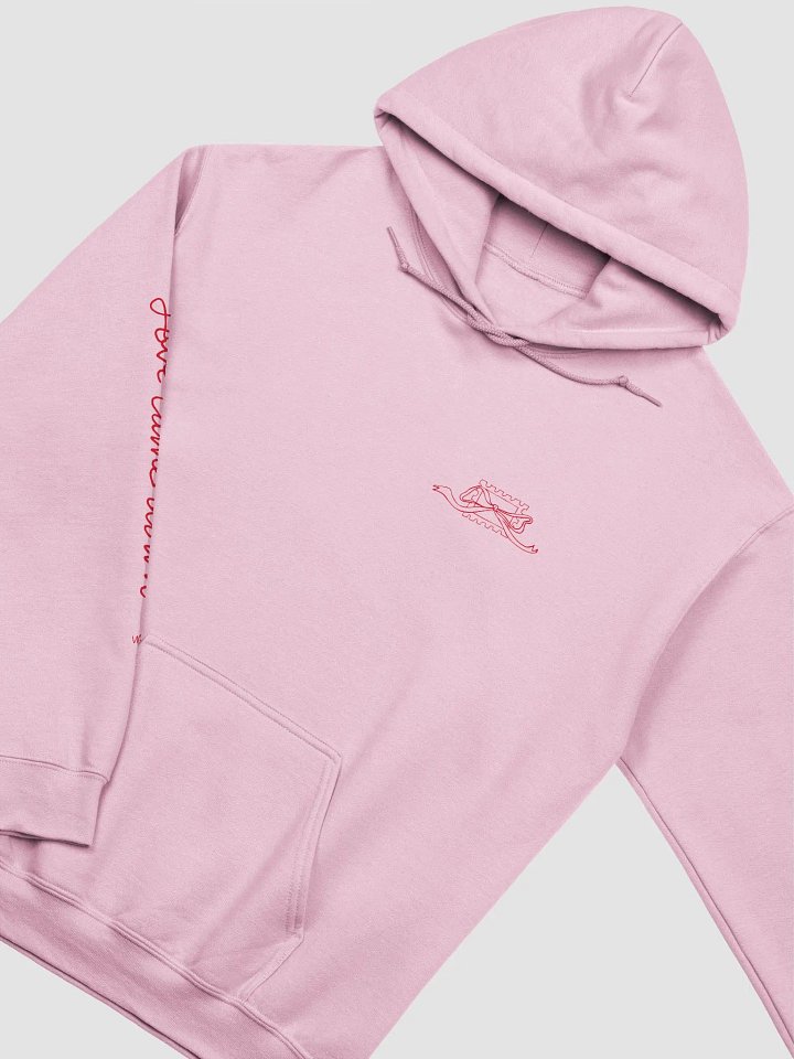 Love Came Down (Gildan Classic Hoodie) product image (1)