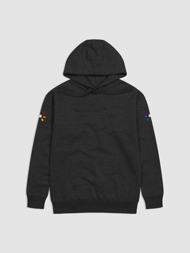 Progress Pride Hoodie product image (1)