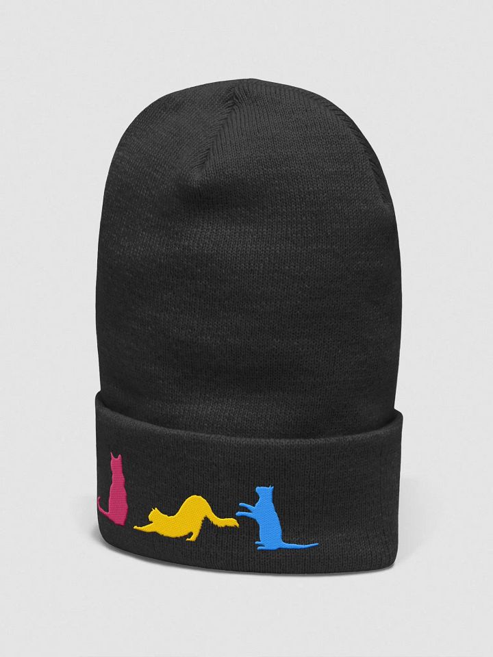 Pansexual Pride Cats Beanie product image (15)