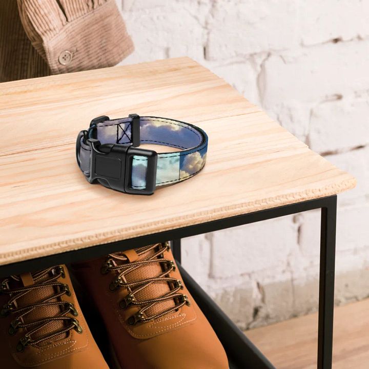 TC Collar product image (4)