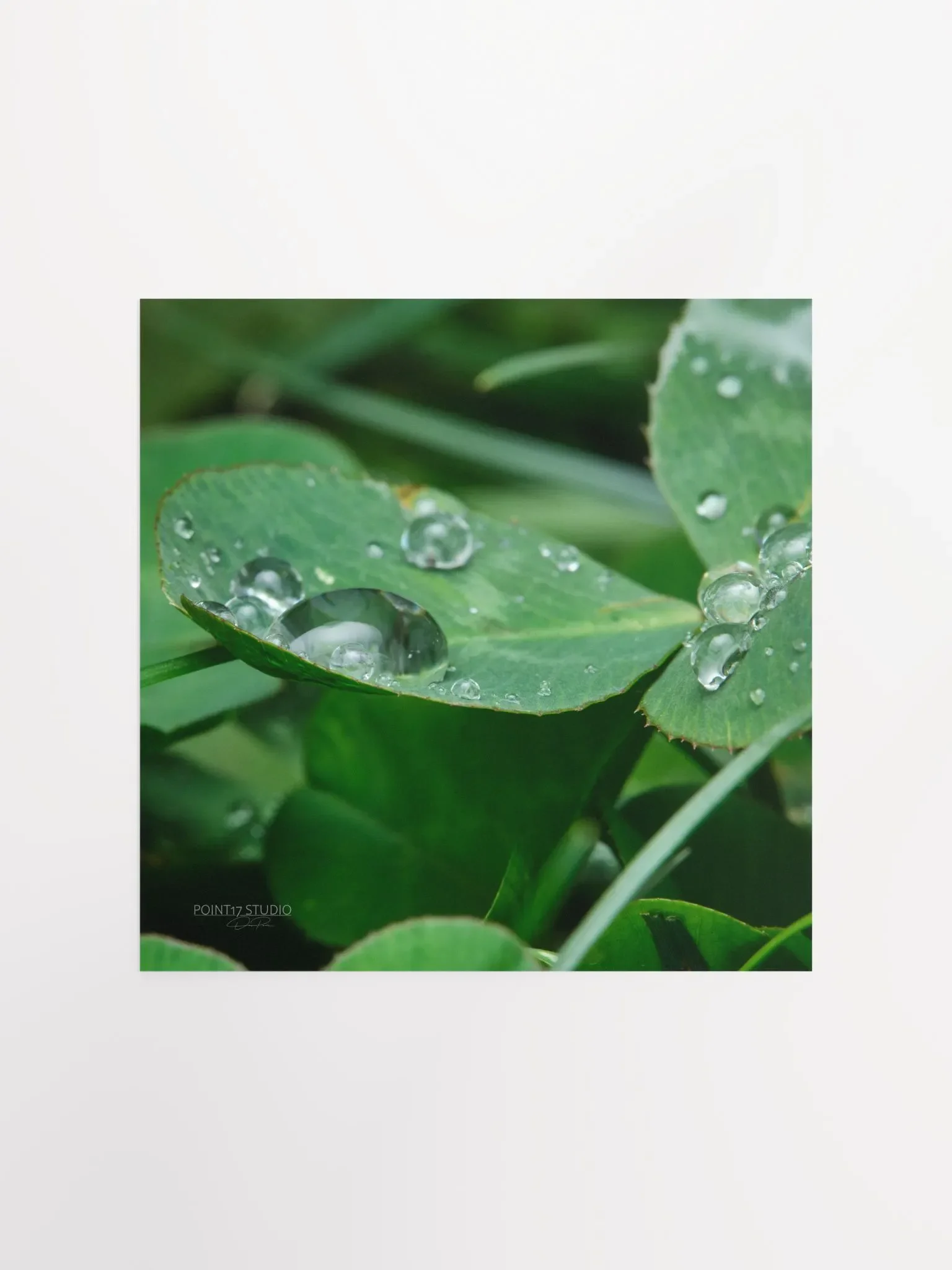 Dew Gems #8 - Print product image (2)