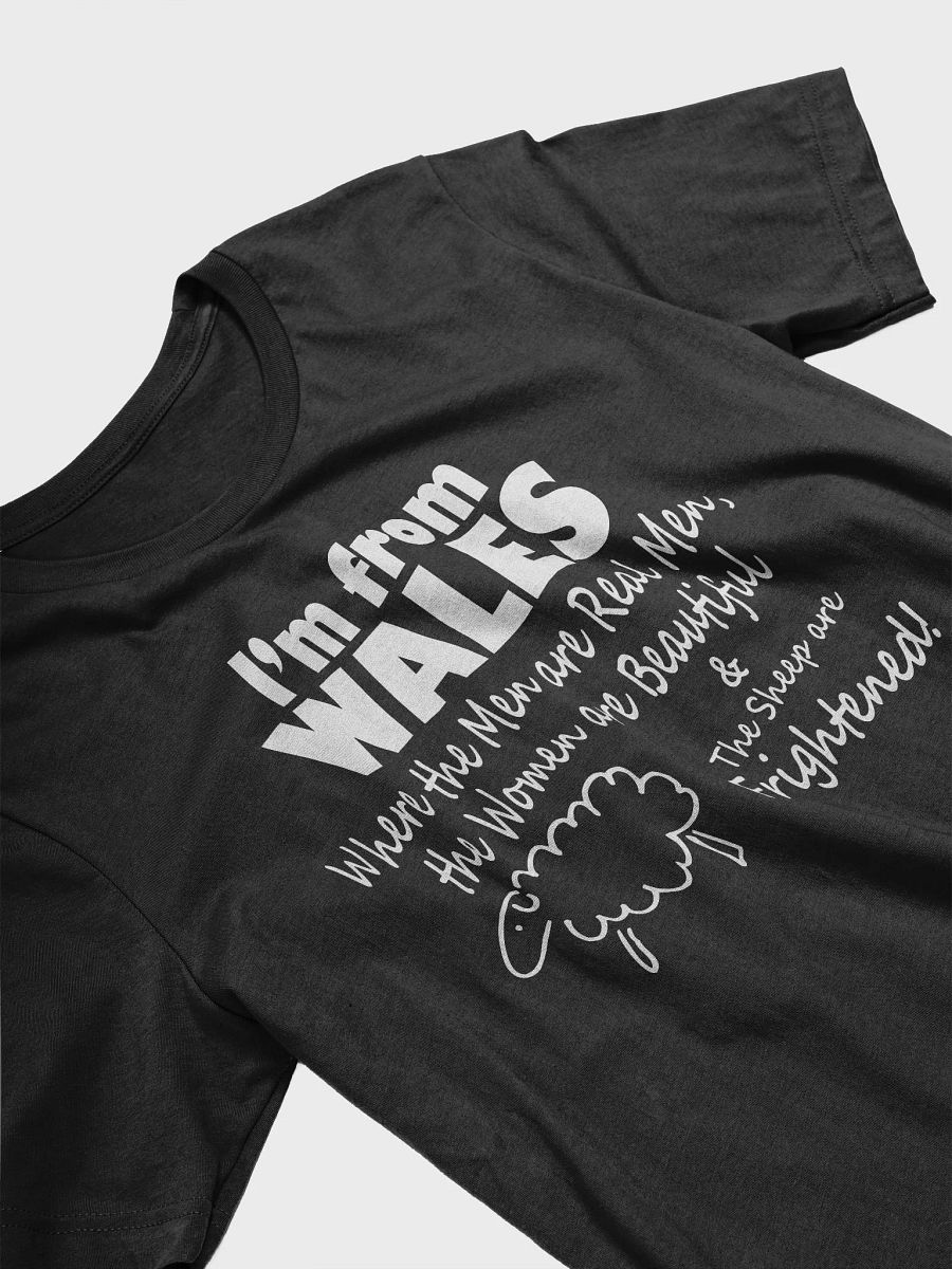 I'm from Wales T-Shirt product image (3)