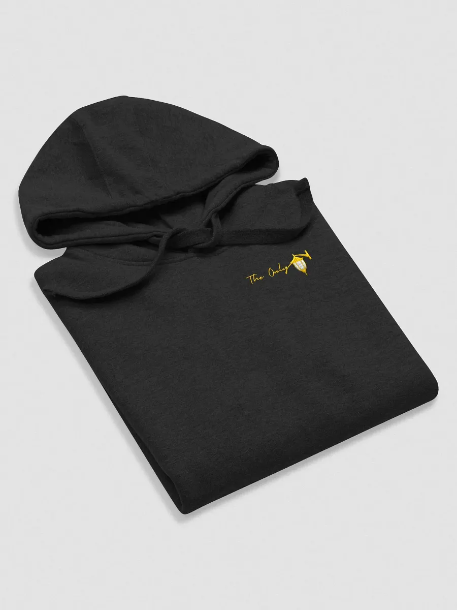 Lamp Logo Hoodie product image (5)