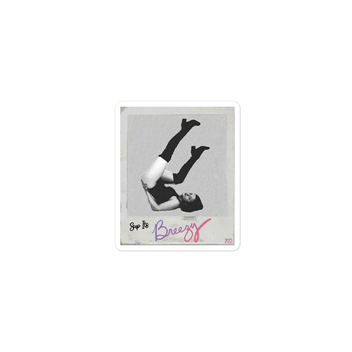 Breezy Polaroid Magnet! product image (1)