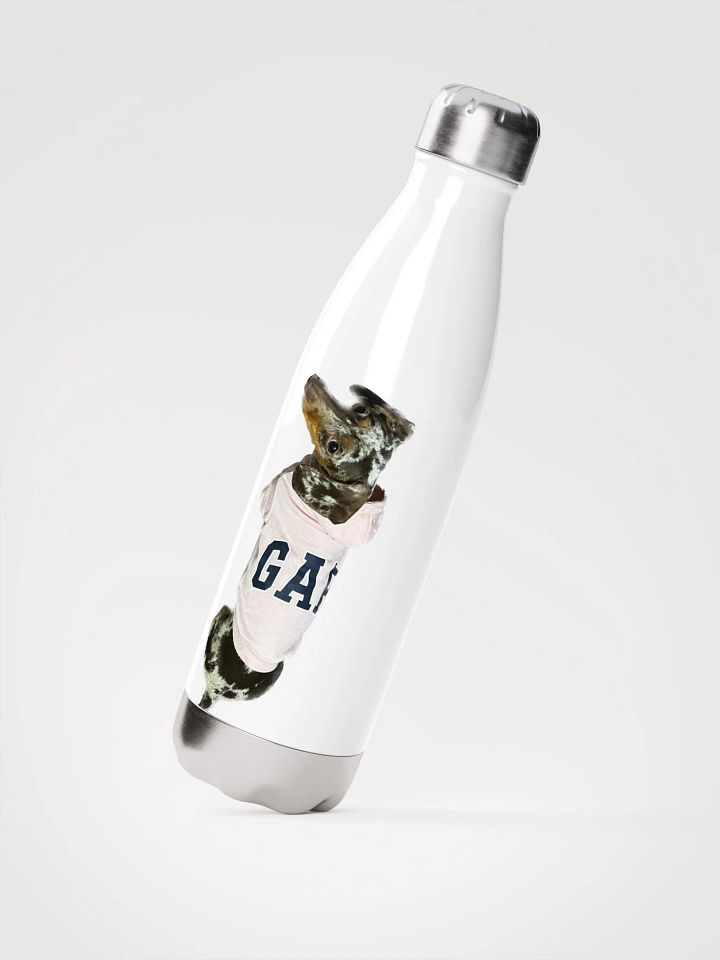 LuLu Sports bottle product image (2)