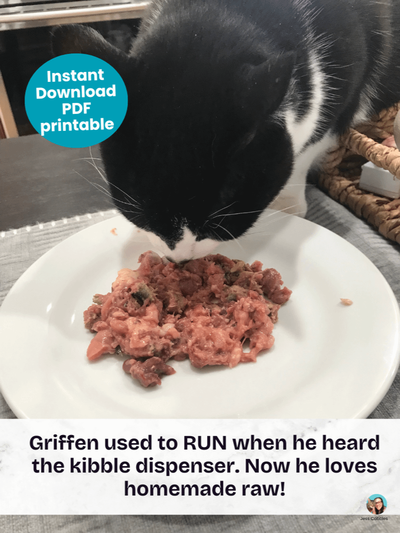 Beef raw boneless cat food recipe ~ 1 recipe for adult cats product image (5)