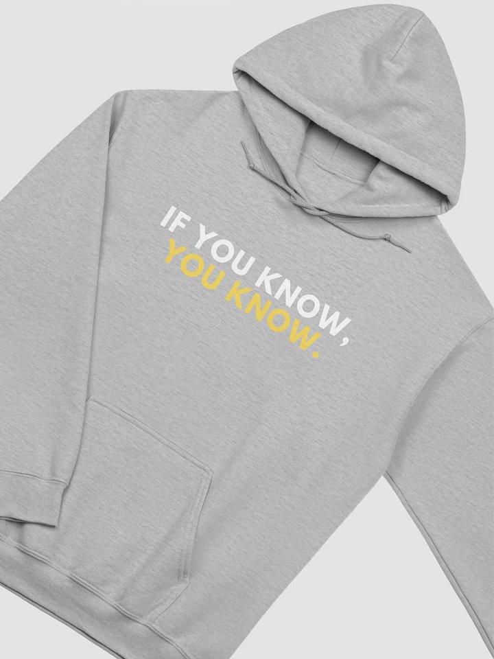 AA Women Not Going Back Sweater in Grey product image (2)