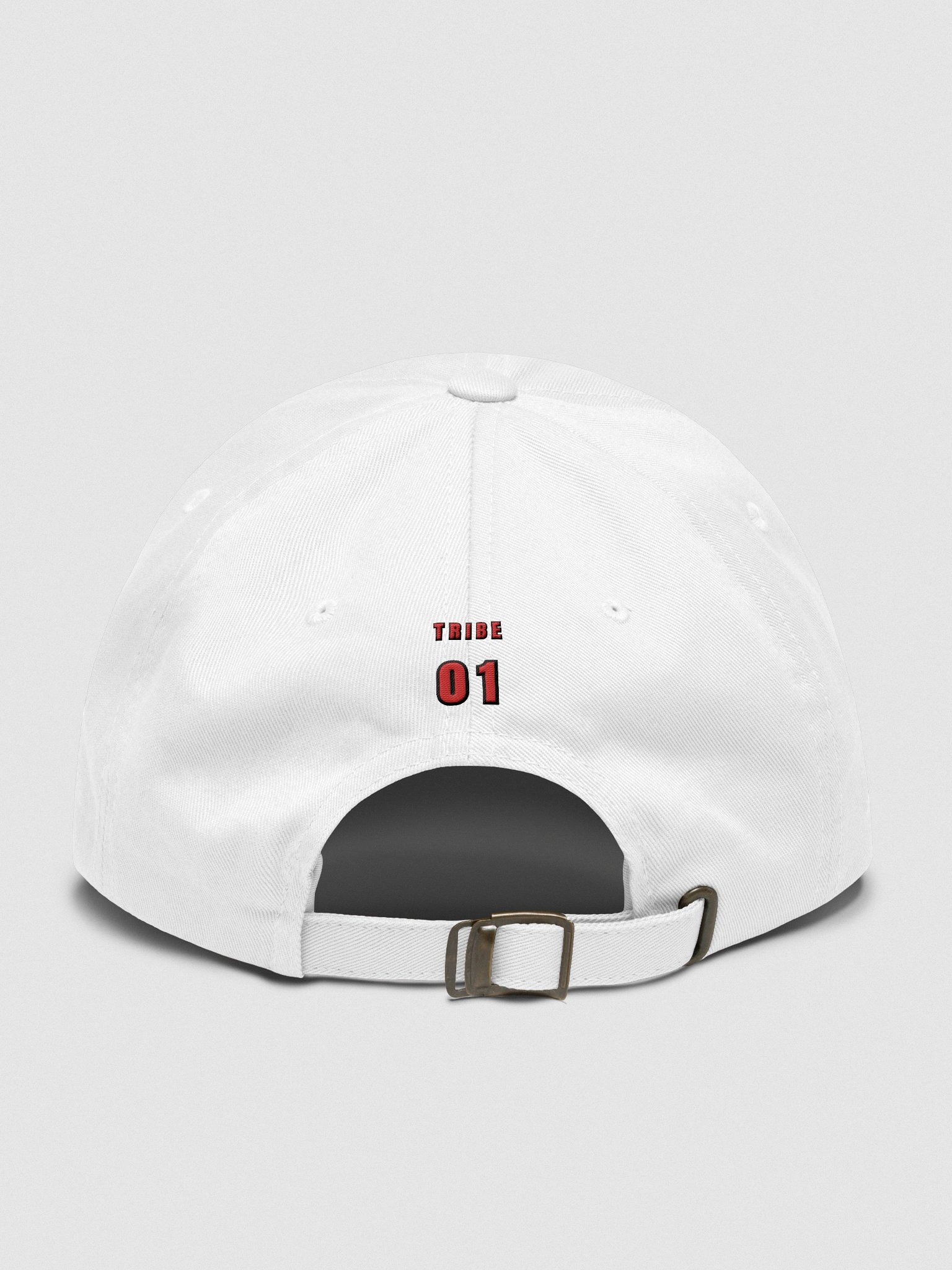 THE INCOGNITO CAP product image (2)