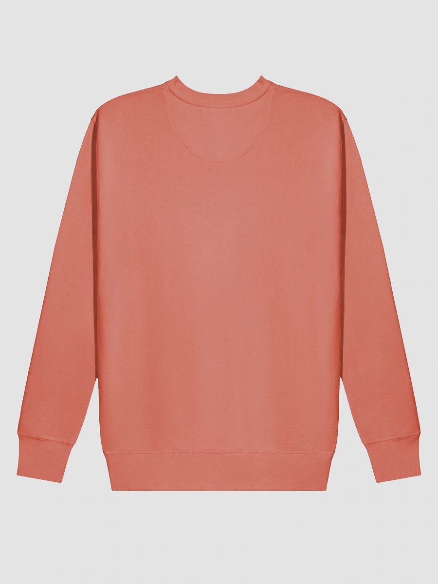 Tired Cowboy Turtle Sweatshirt product image (5)