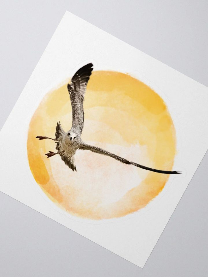 Young Sun Gull Kiss Cut Stickers product image (6)