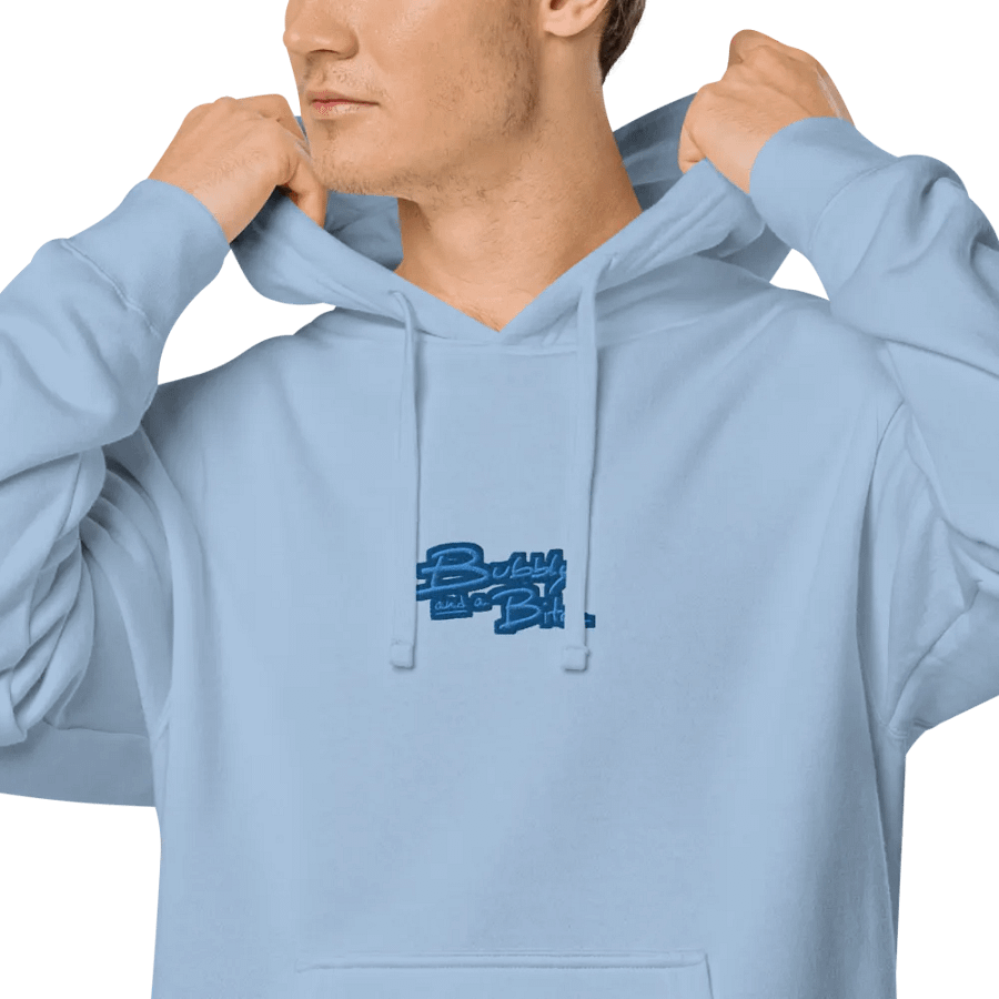 Bubbly and a B*tch (C. creek design) embroidered pigment-dyed hoodie product image (8)