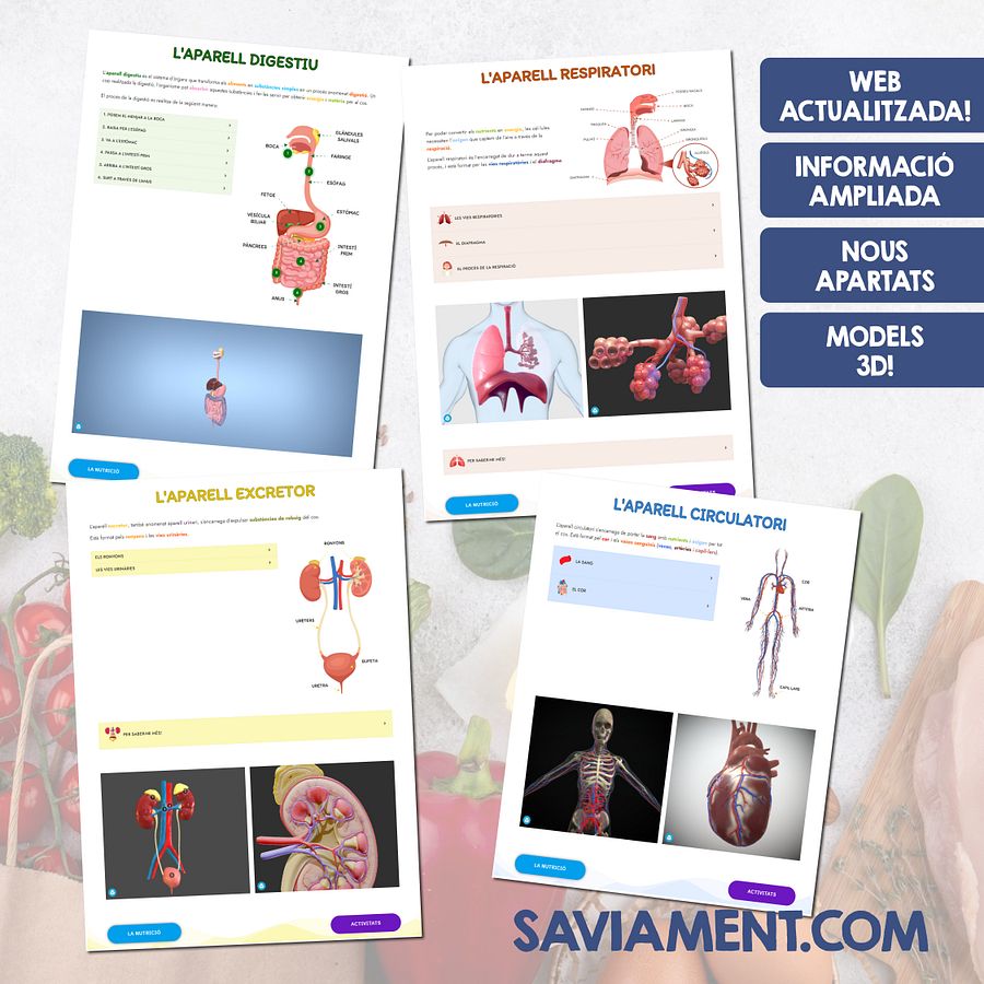 La funció de nutrició: aparells product image (2)