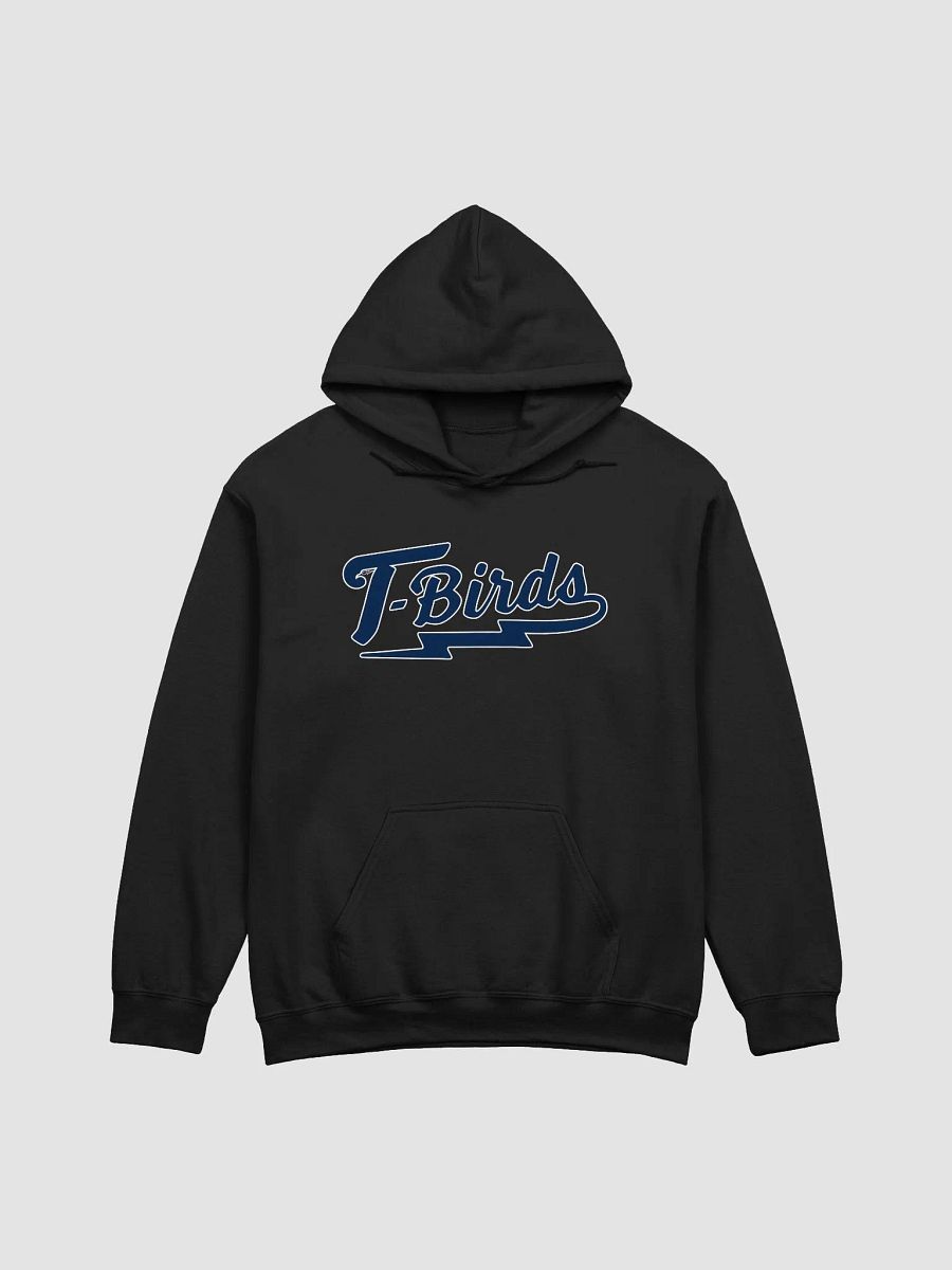 T-Birds Hoodie product image (3)