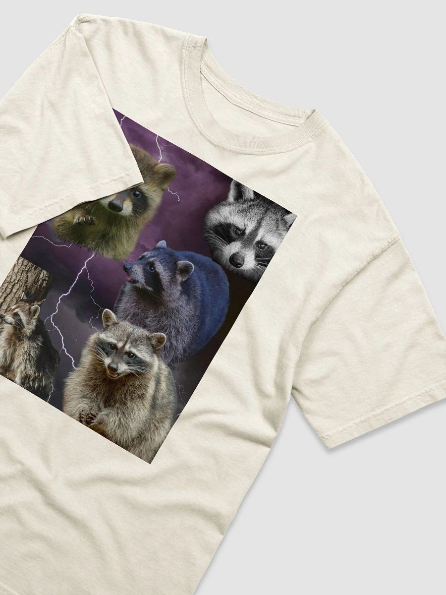 Majestic Racoons product image (14)
