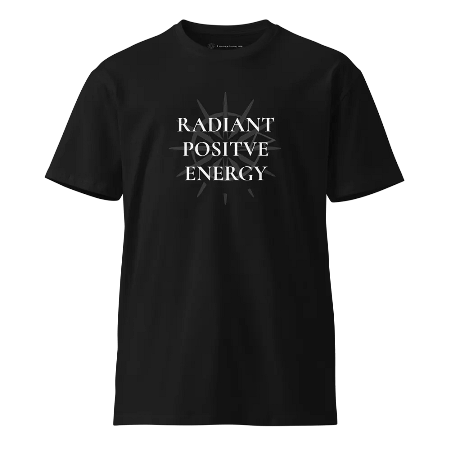 17 - The Star Premium Tee product image (1)
