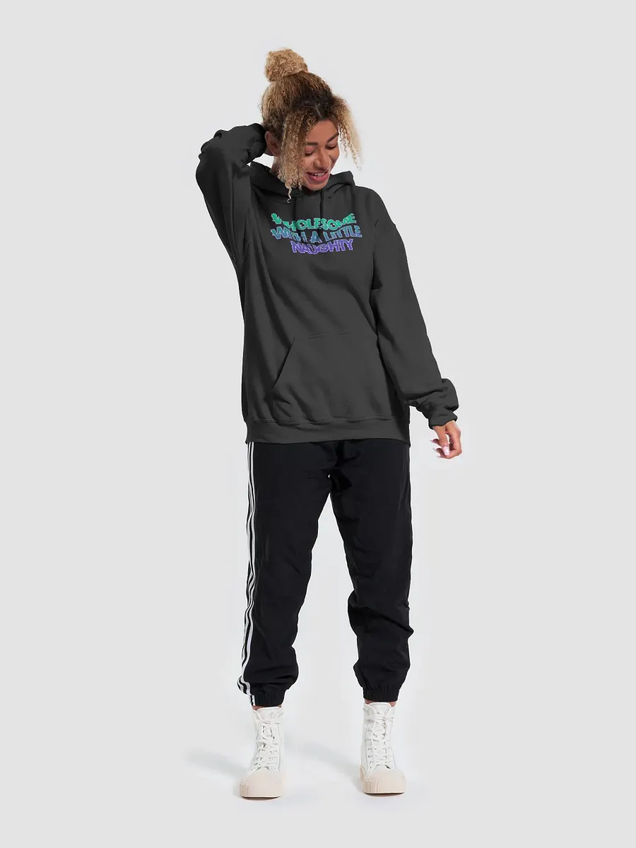 Wholesome and Naughty Hoodie product image (6)