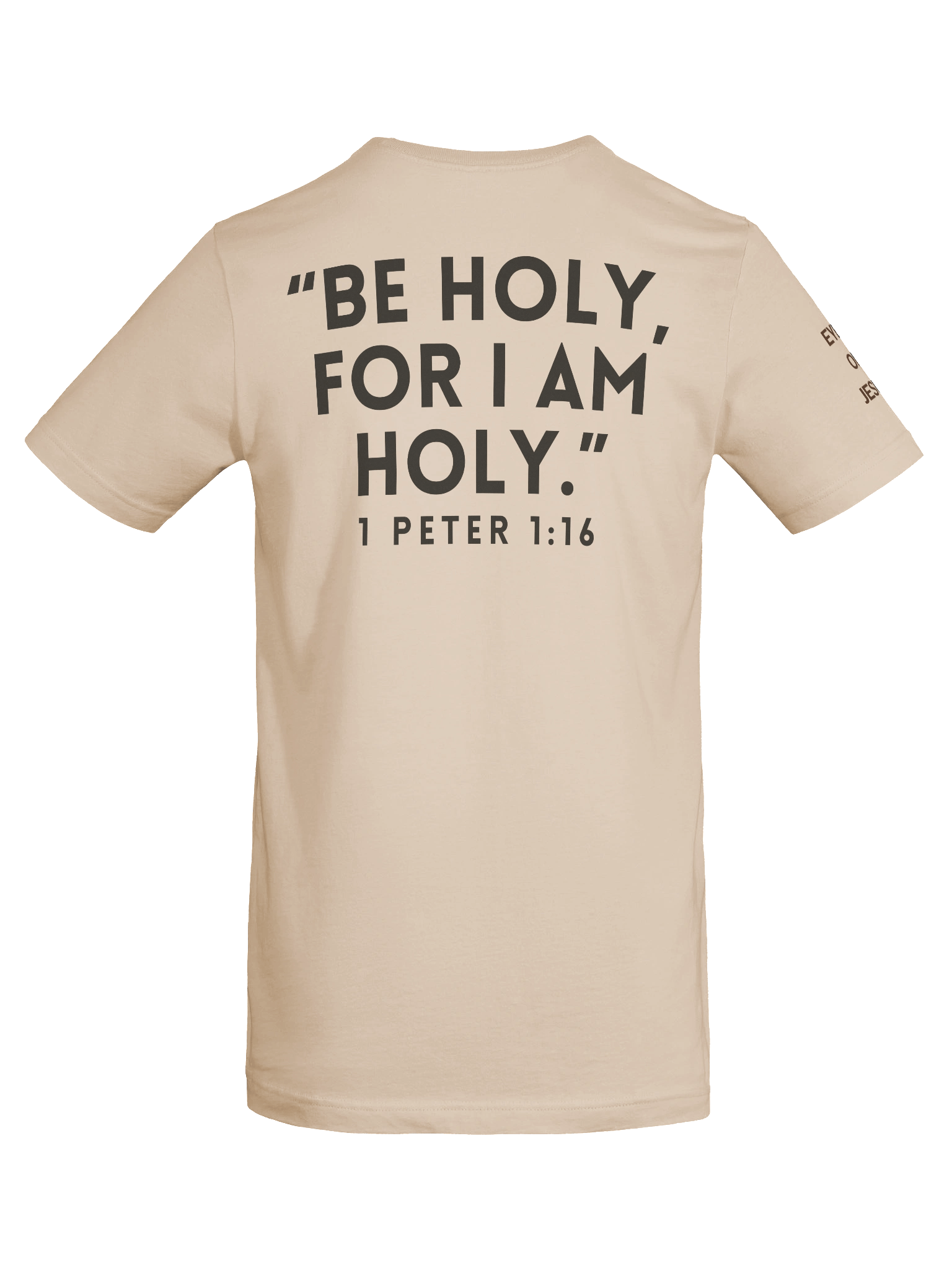 Less Hype. More Holiness. Member Only Shirt product image (8)