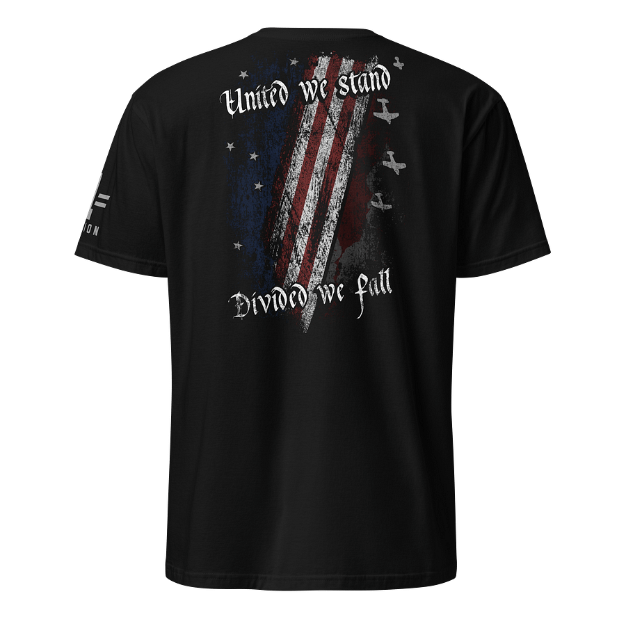 United We Stand, Divided We Fall product image (1)