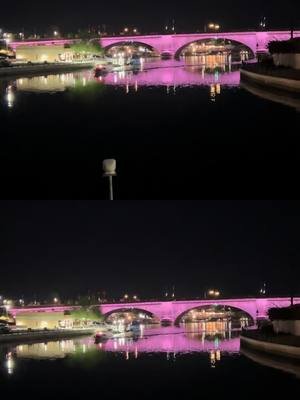Where Dream Dogs Are Made 🐾 | Lake Havasu’s London Bridge at Night #tiktok #dogtraining #lakehavasu #londonbridge 
