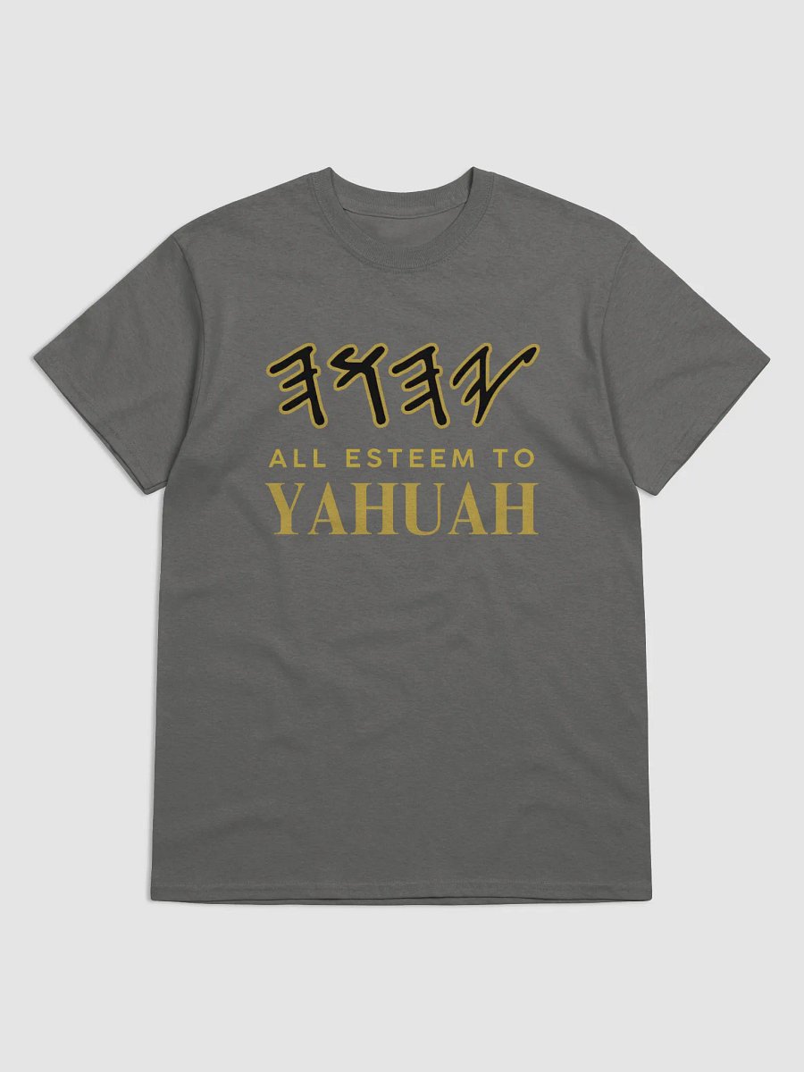 Yasharal Original Music: All Esteem To YAHUAH | T-Shirt | Grey product image (1)