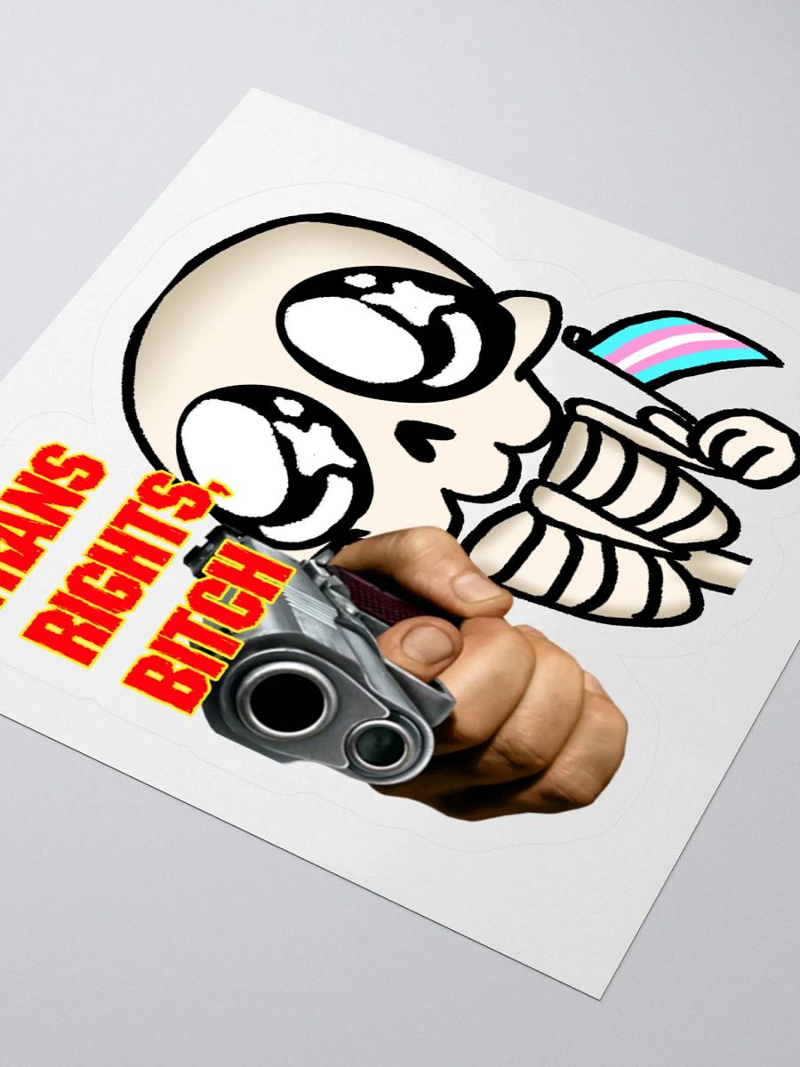 Trans Rights Sticker product image (7)