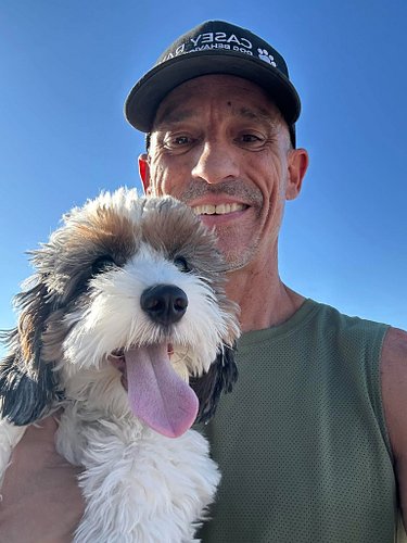 Happy Thursday! An early morning training session with Ollie before it heats up - 🐶

#dreamdogexperience™️ #cockapoo