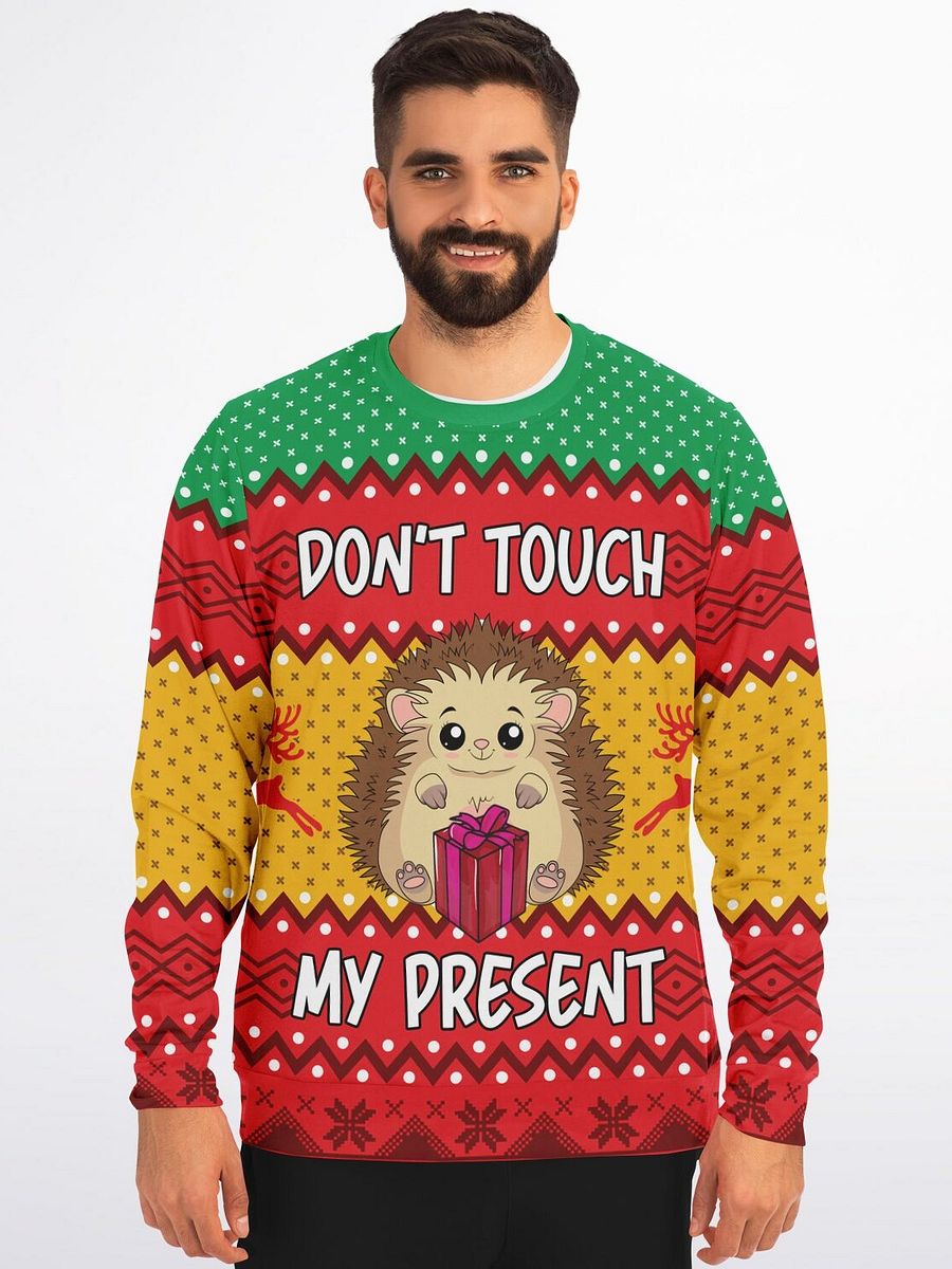 "Don't Touch My Present" Hedgehog Christmas Sweatshirt | Funny Holiday Gift Guard Sweater | Christmas Party Outfit product image (5)