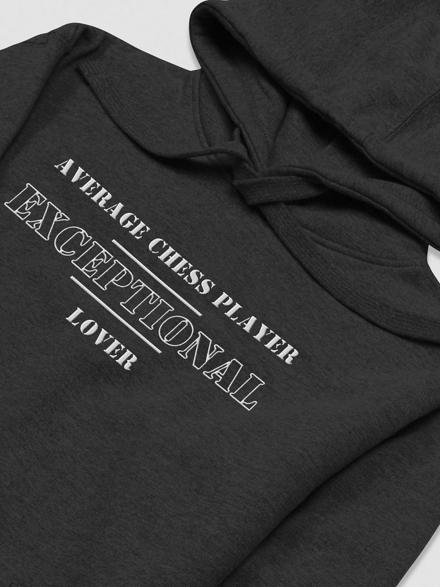 AJC Slogan Hoodie A2 Edition (Stitched Wording) product image (19)