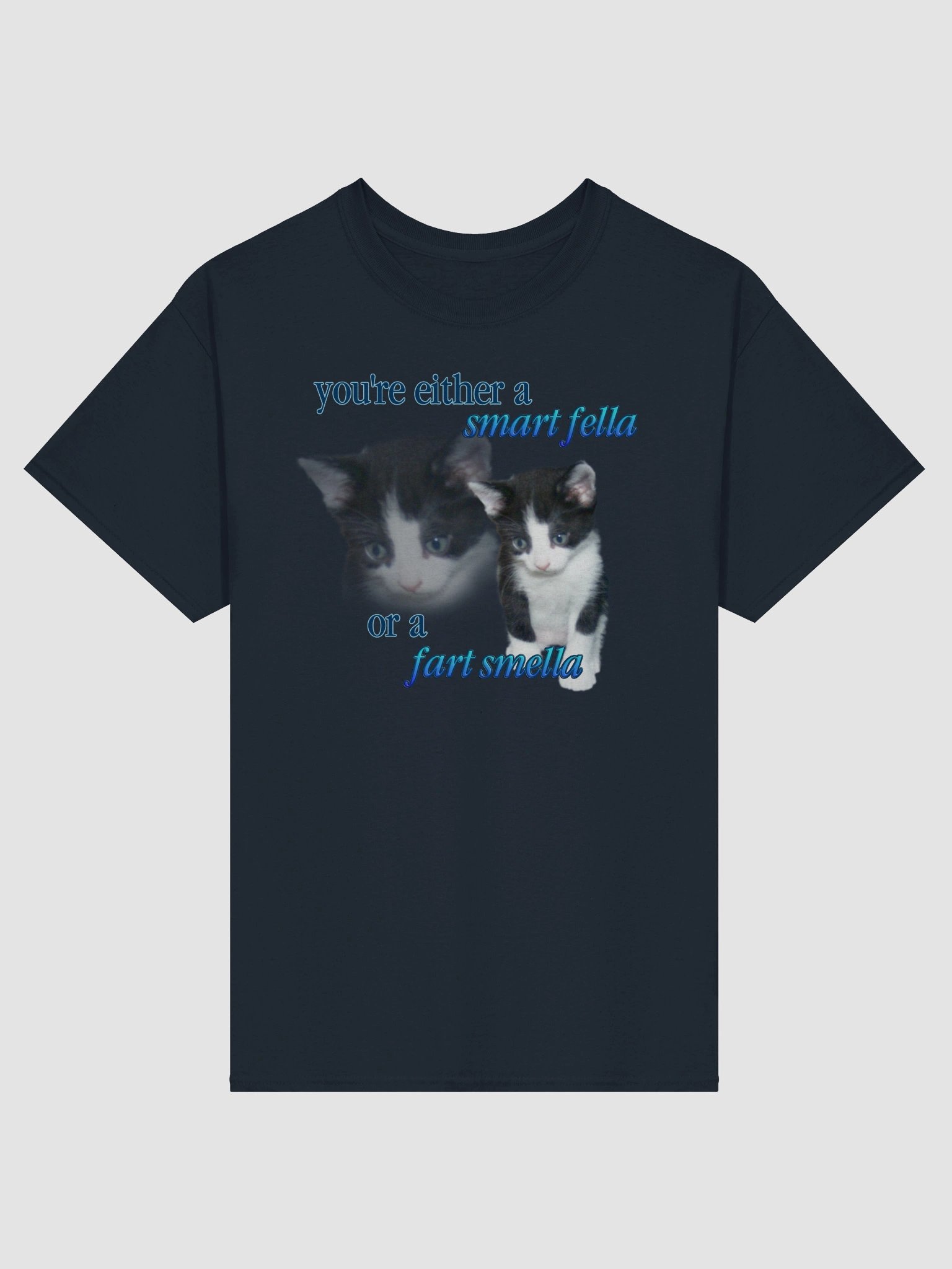 Smart Fella or a Fart Smella - Cat T-shirt product image (86)
