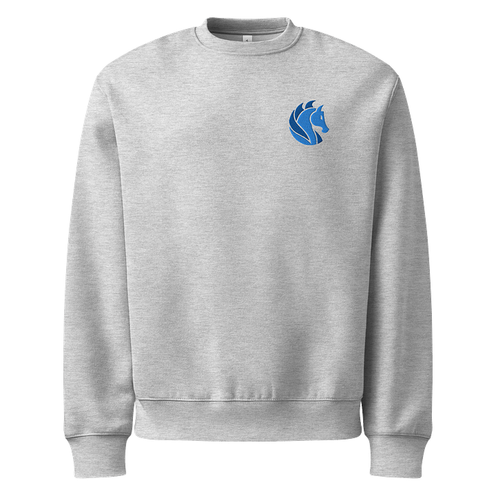 Embroidered Sweatshirt product image (4)