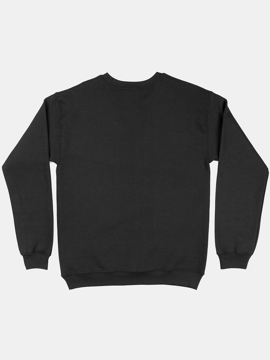 #MeidasTouch 306 LANDSLIDE CREW NECK product image (2)