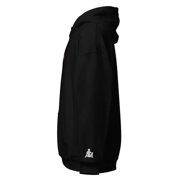 The Soul Embroidered Hoodie product image (2)