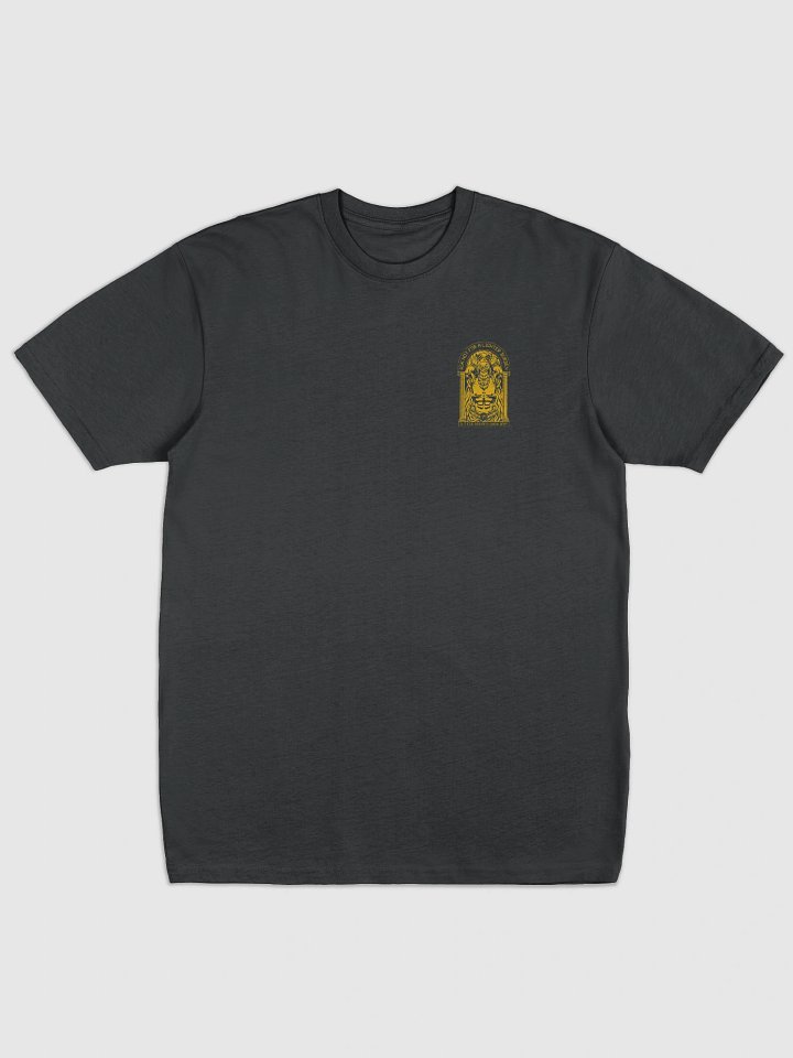 Atlas gym gear Heavy Tee product image (2)
