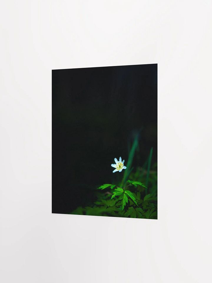 Alone in the dark product image (6)