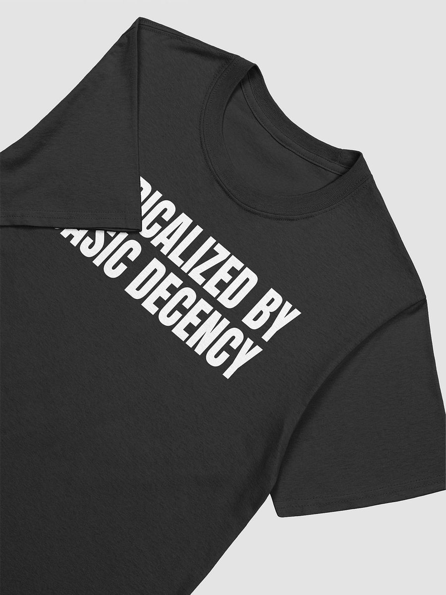 Radicalized By Basic Decency T-Shirt product image (12)