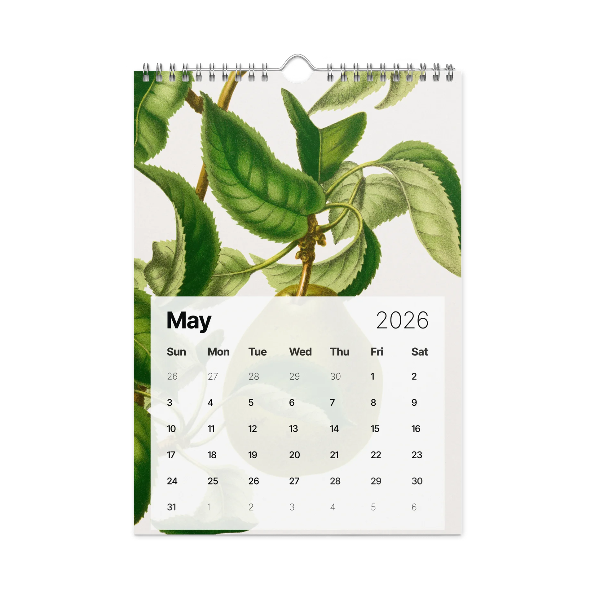 DK 2026 Wall Calendar product image (6)
