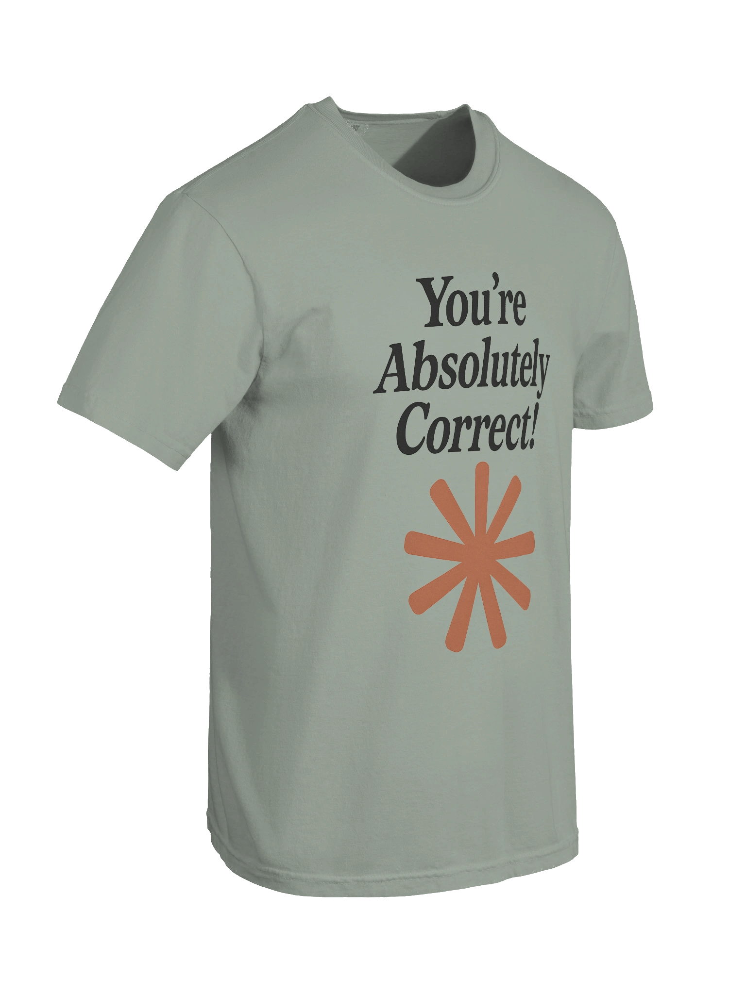 “You’re Absolutely Correct!” - AI Inside-Joke Unisex Tee | Dev & Data Nerd Gift product image (5)