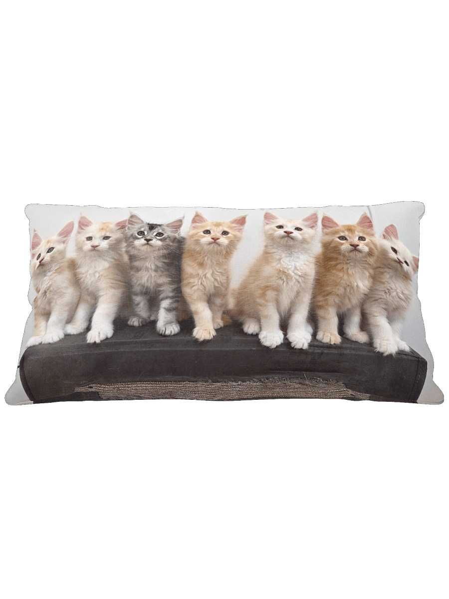 Freya's Kittens - Pillow product image (1)